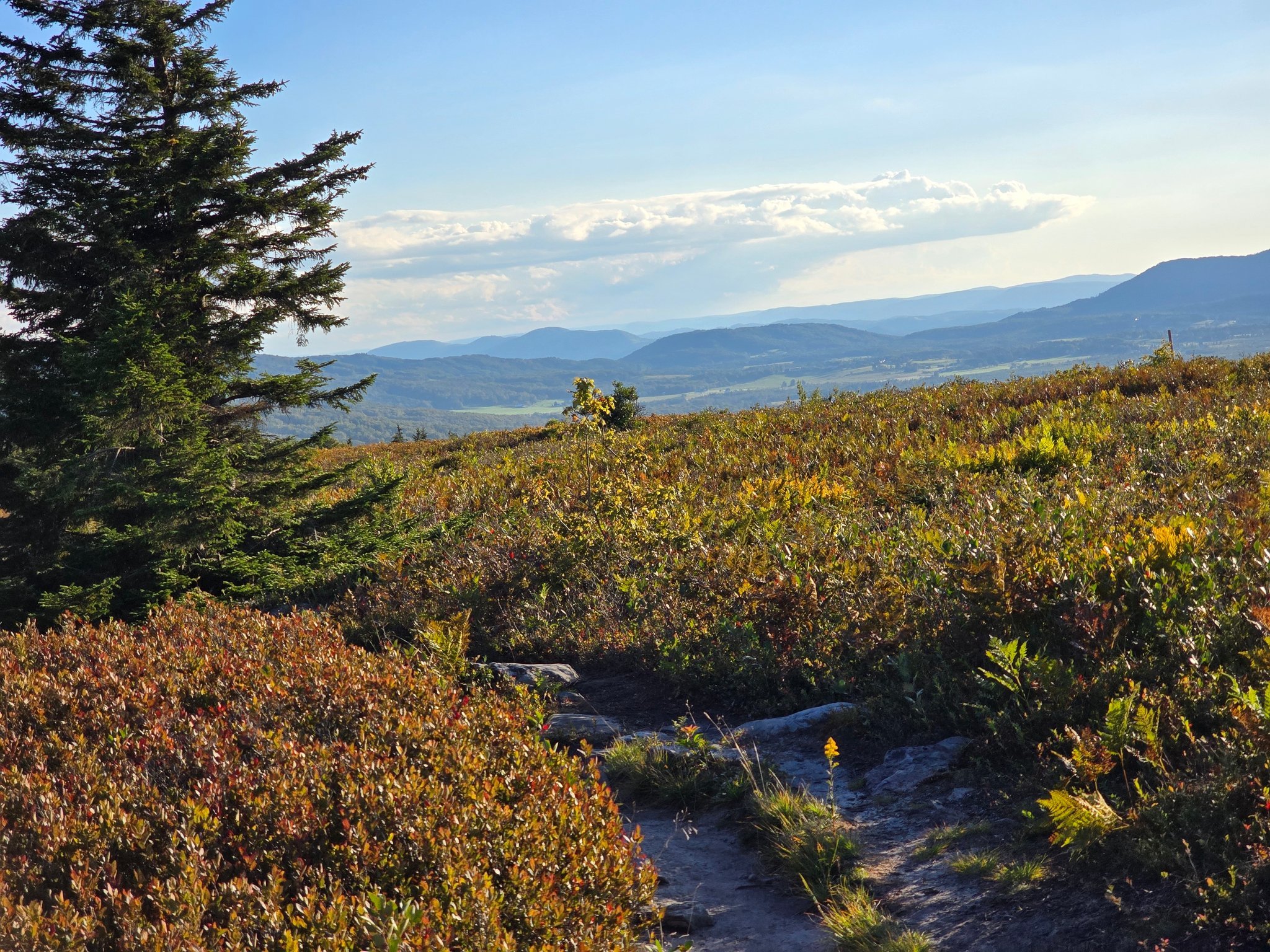On the Trail with Jesus! (Dolly Sods Wilderness)