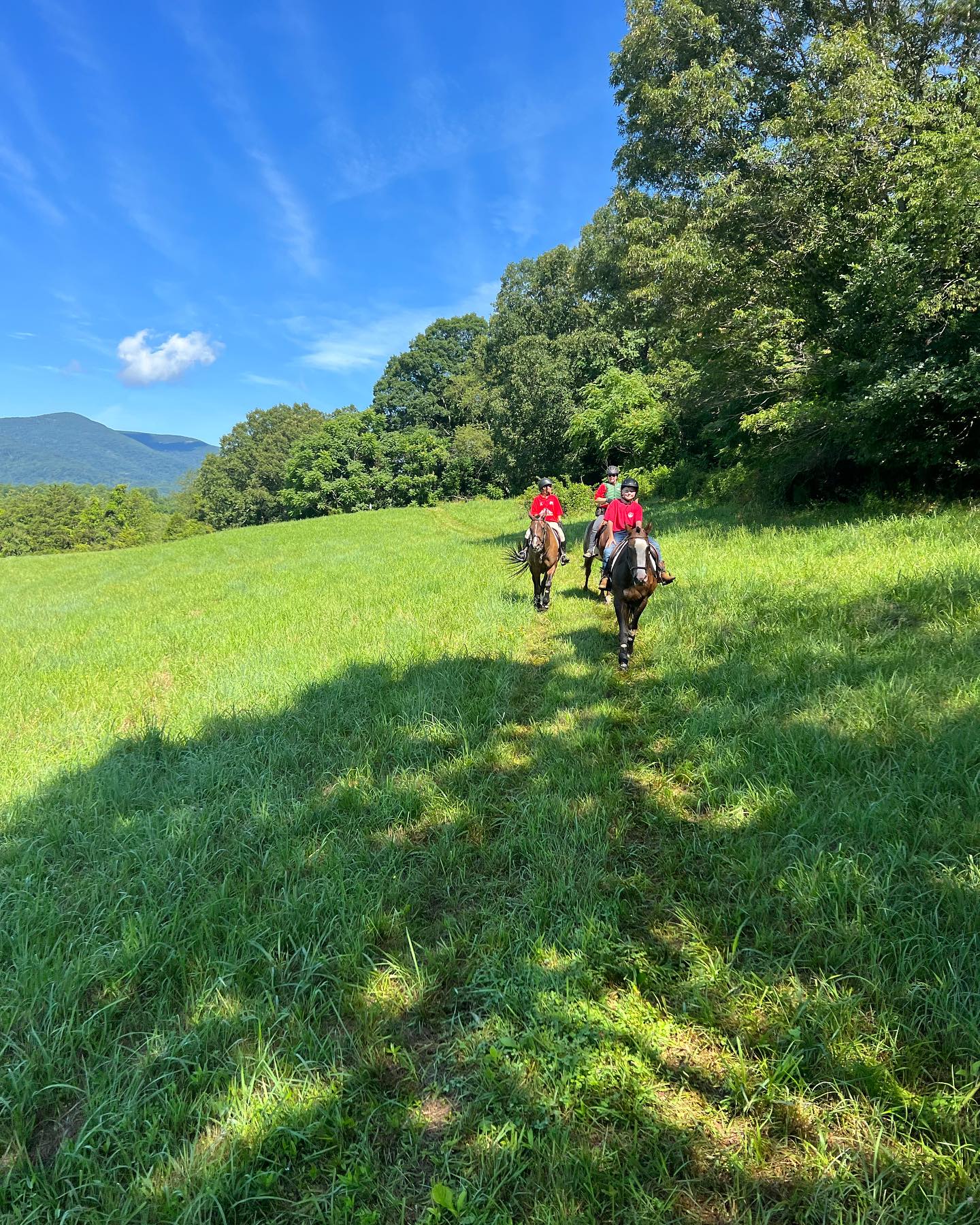 Cannon Ridge Farm | Afton VA