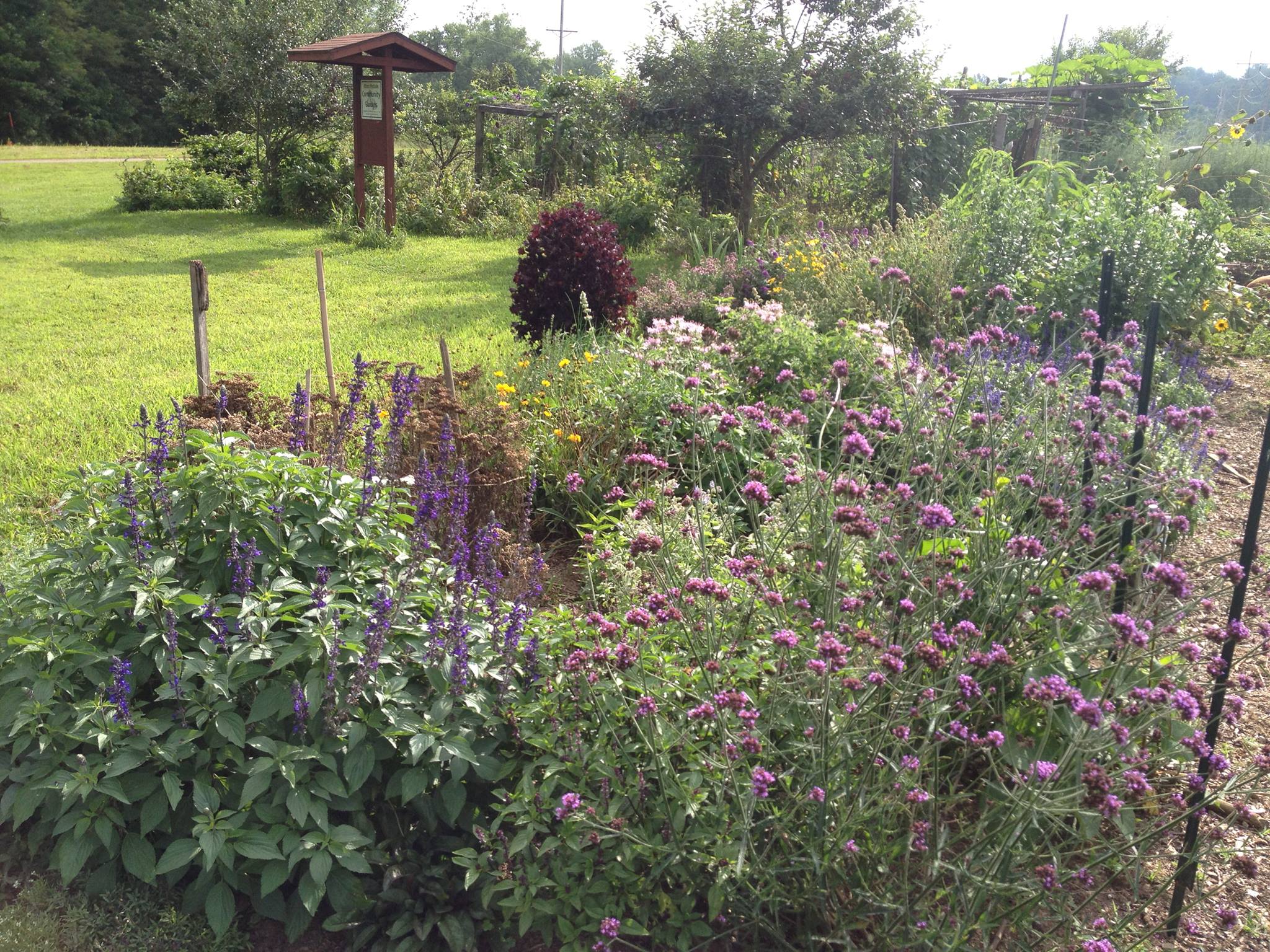 Westside Community Gardens of Athens | Athens OH