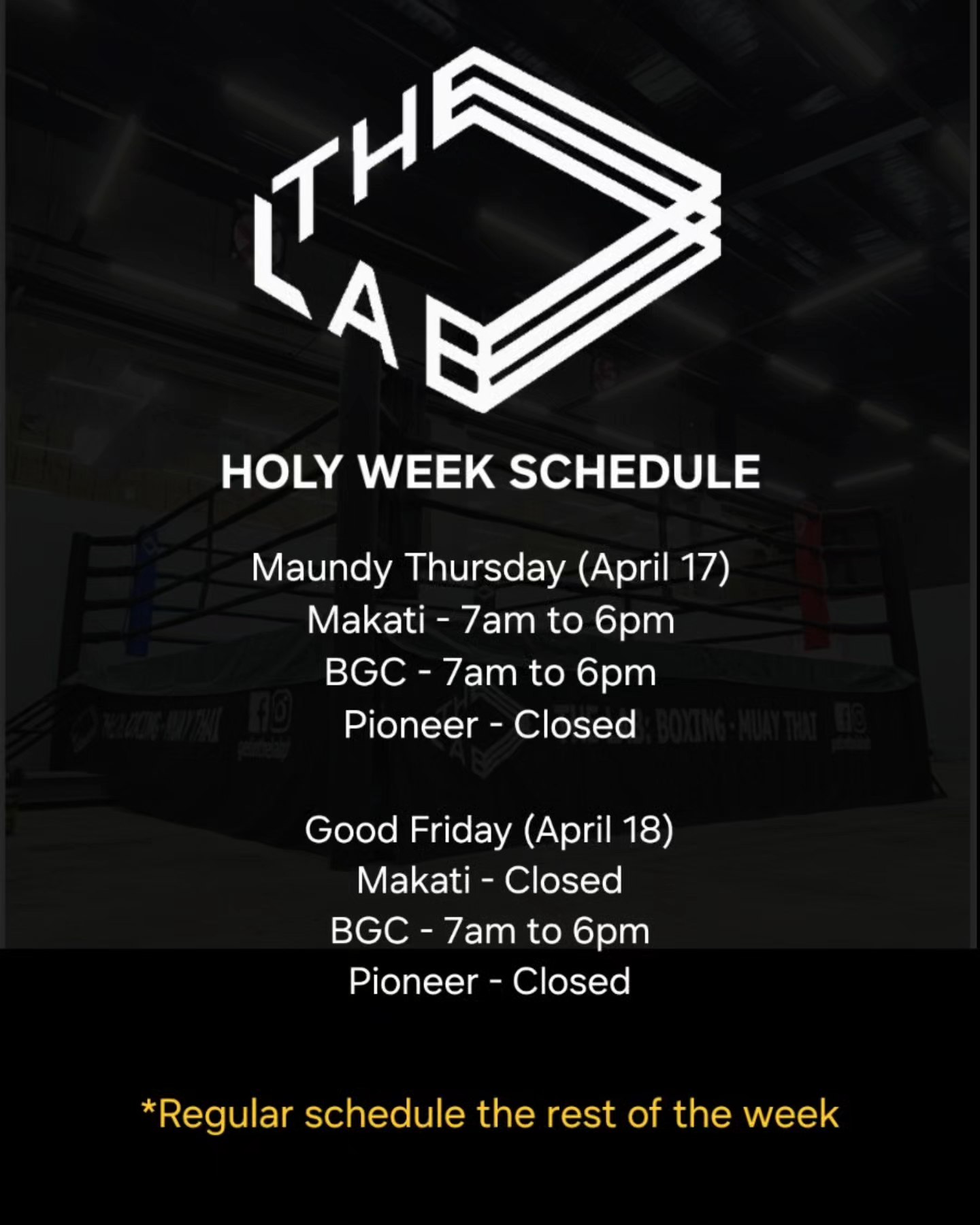 The Lab : Boxing . Muay Thai . Jiu-jitsu | Taguig