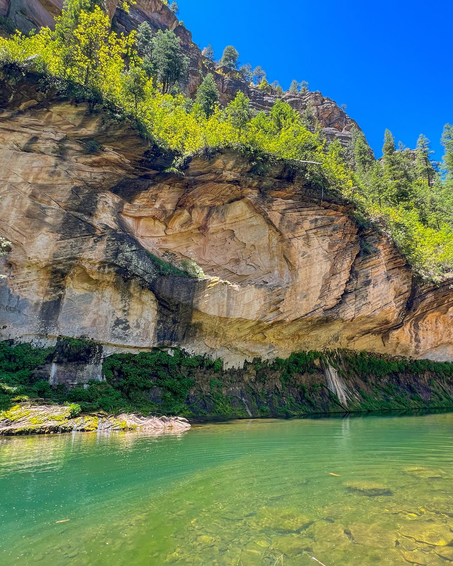 West Clear Creek is a gorgeous walled-in stream within Verde
