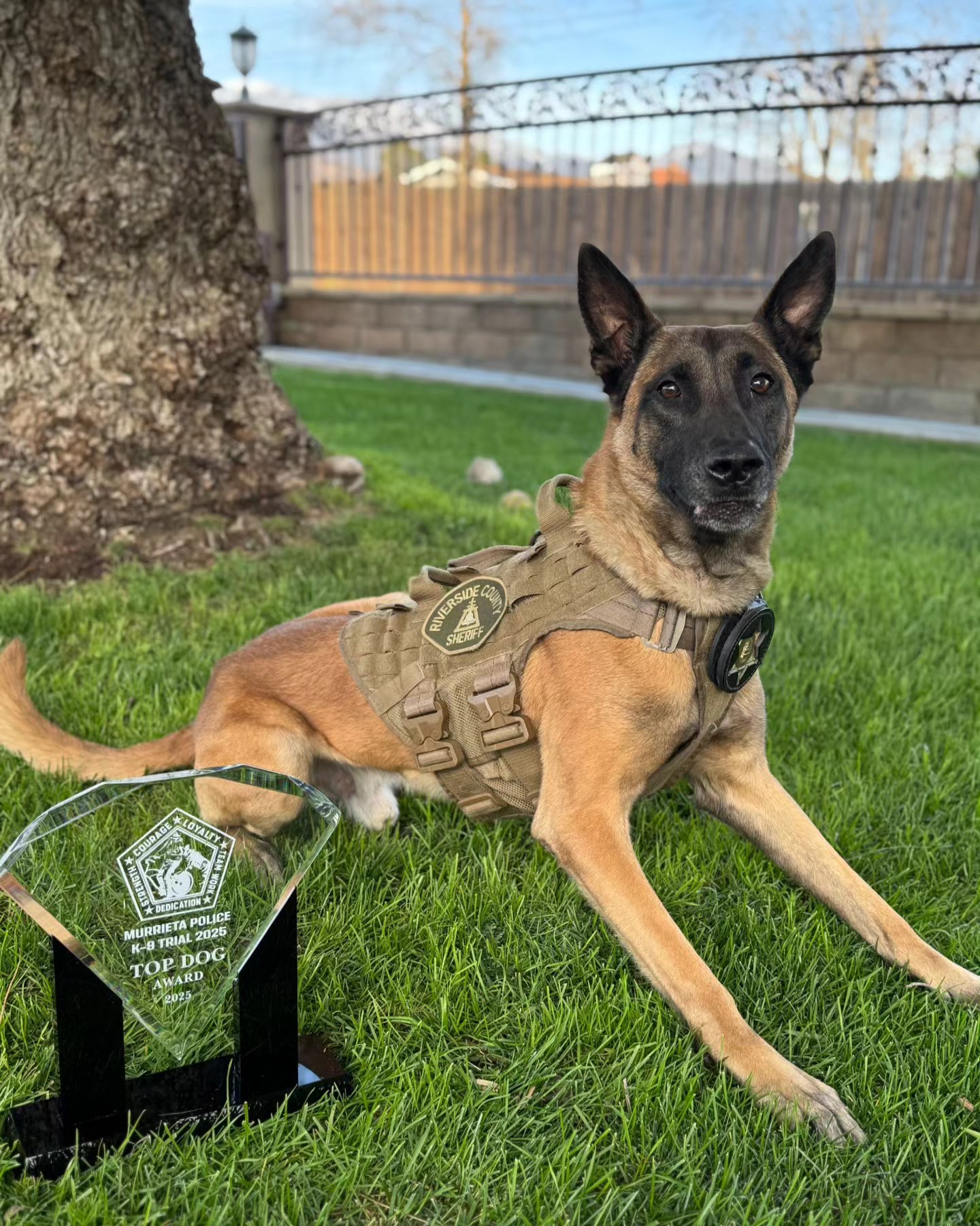 Riverside County Sheriffs' K-9 Team