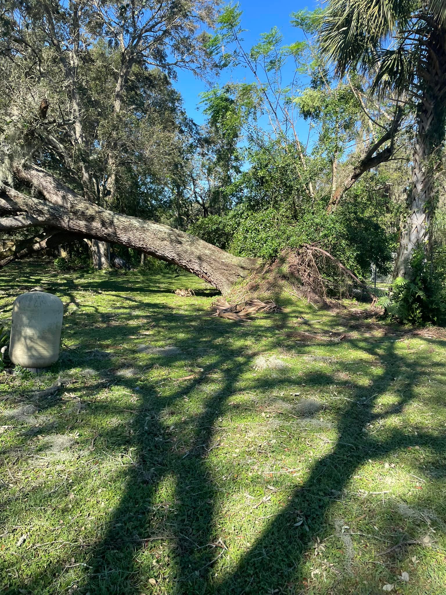 Hi-Point Tree Service