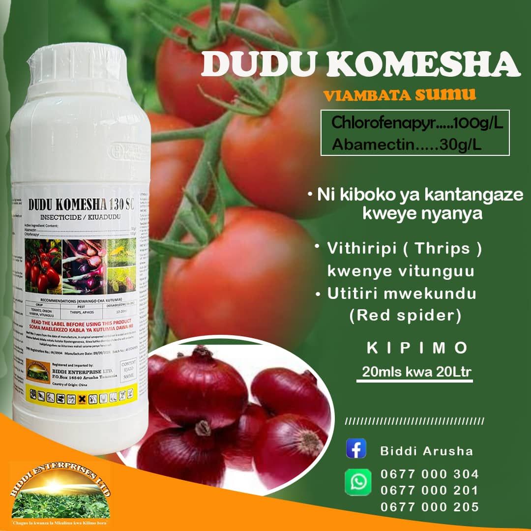 Biddi Enterprises Ltd | Arusha