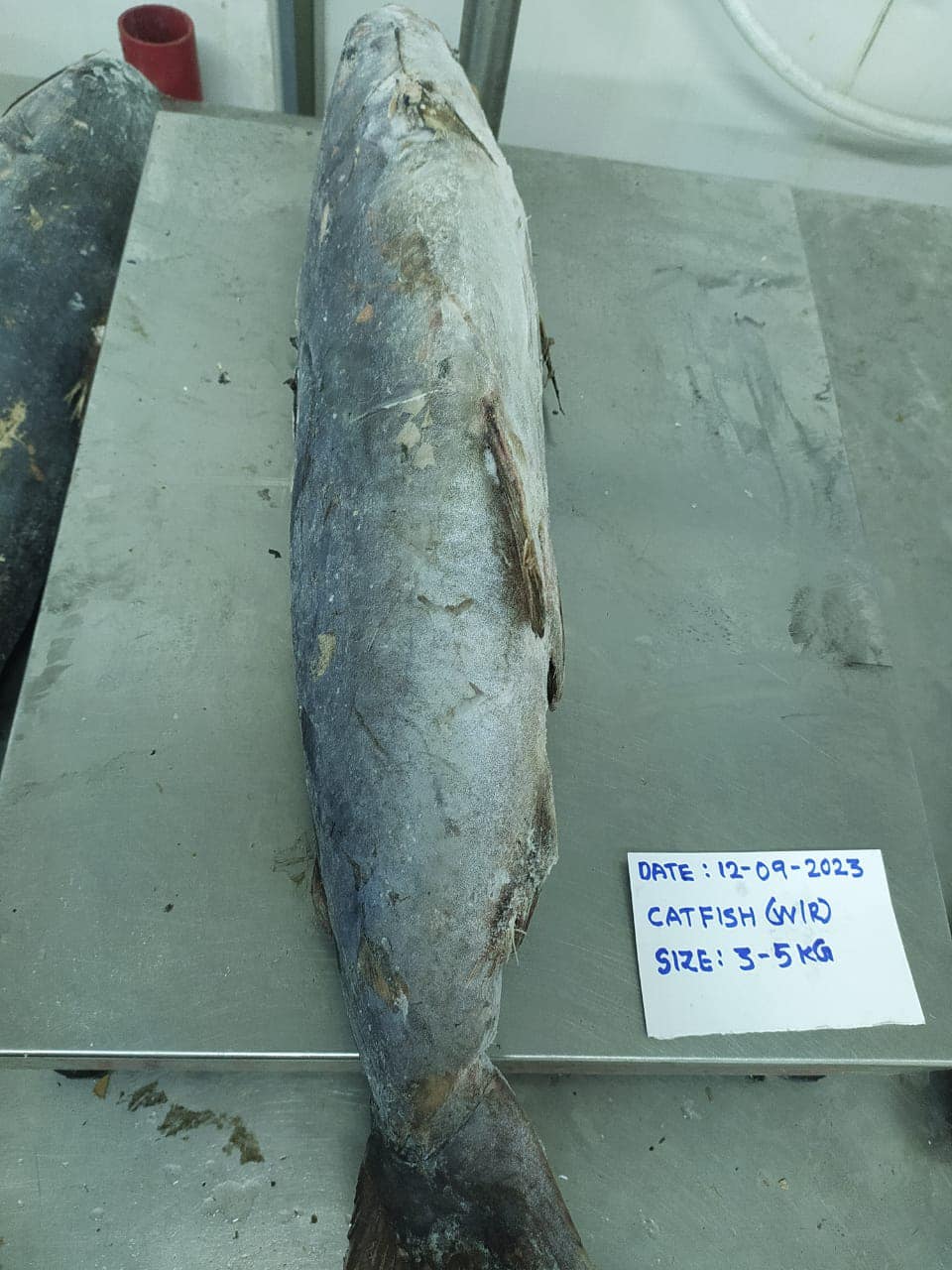 Ashfaq Oman Fisheries