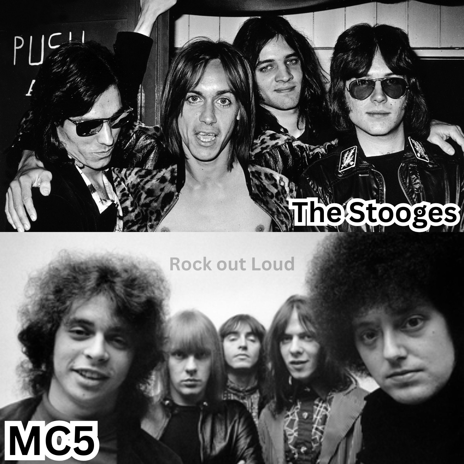 👍 The Stooges / ❤️ MC5 👍 The Stooges The Stooges laid punk's