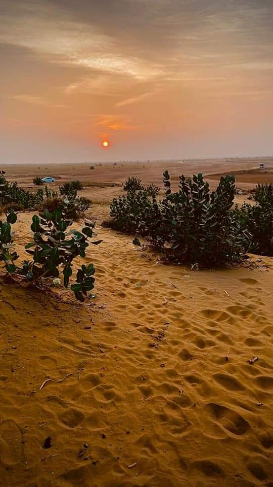Sam Sand Dunes, Jaisalmer,Rajasthan | Sam