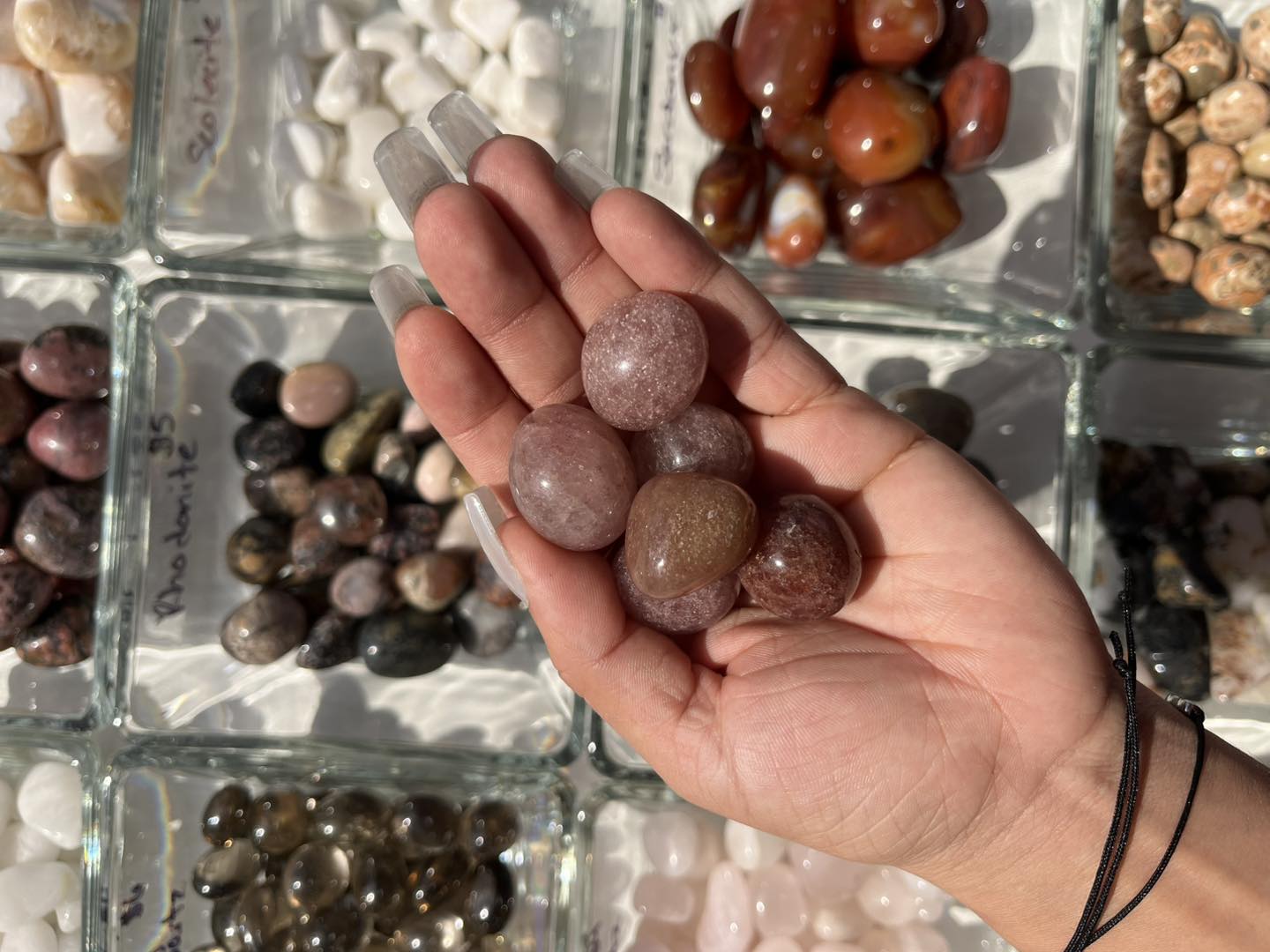 Main Street Rocks Tampa | South Tampa FL