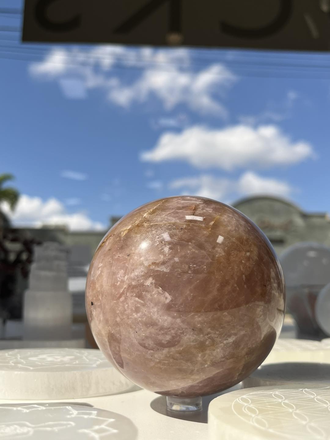 Main Street Rocks Tampa | South Tampa FL