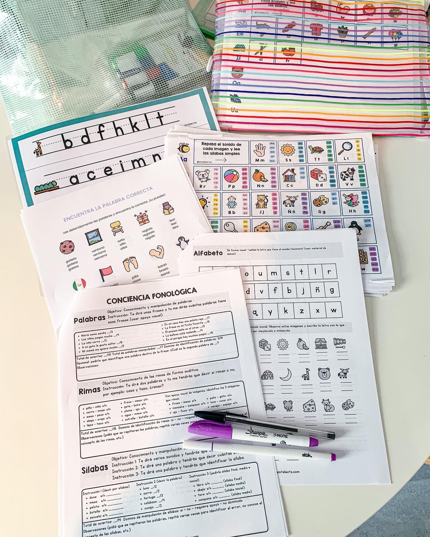 Intelecta - La evaluación cualitativa de la lectura y...