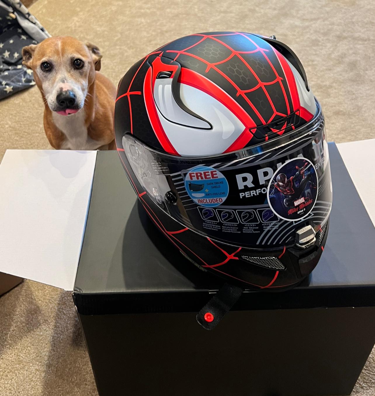 name of shoei helmet dog Safety Helmets For Motorcycle Bike Riding The surface of the dog helmet can be individually designed based on the creativity of the owner Pet Motorcycle Helmet Dog Sunglasses