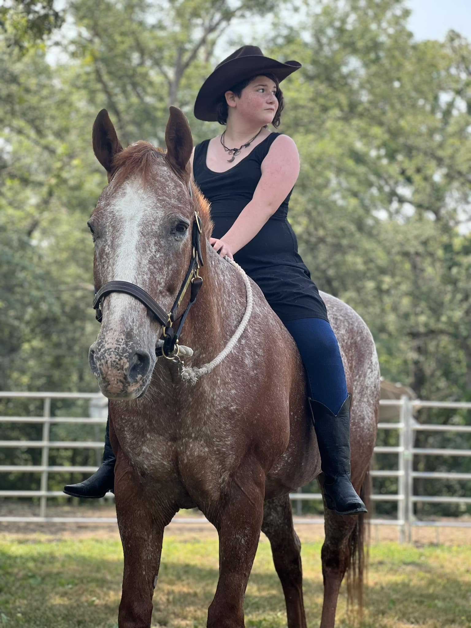“Believe in your horse so your horse... - Circle T Farm LLC | Facebook