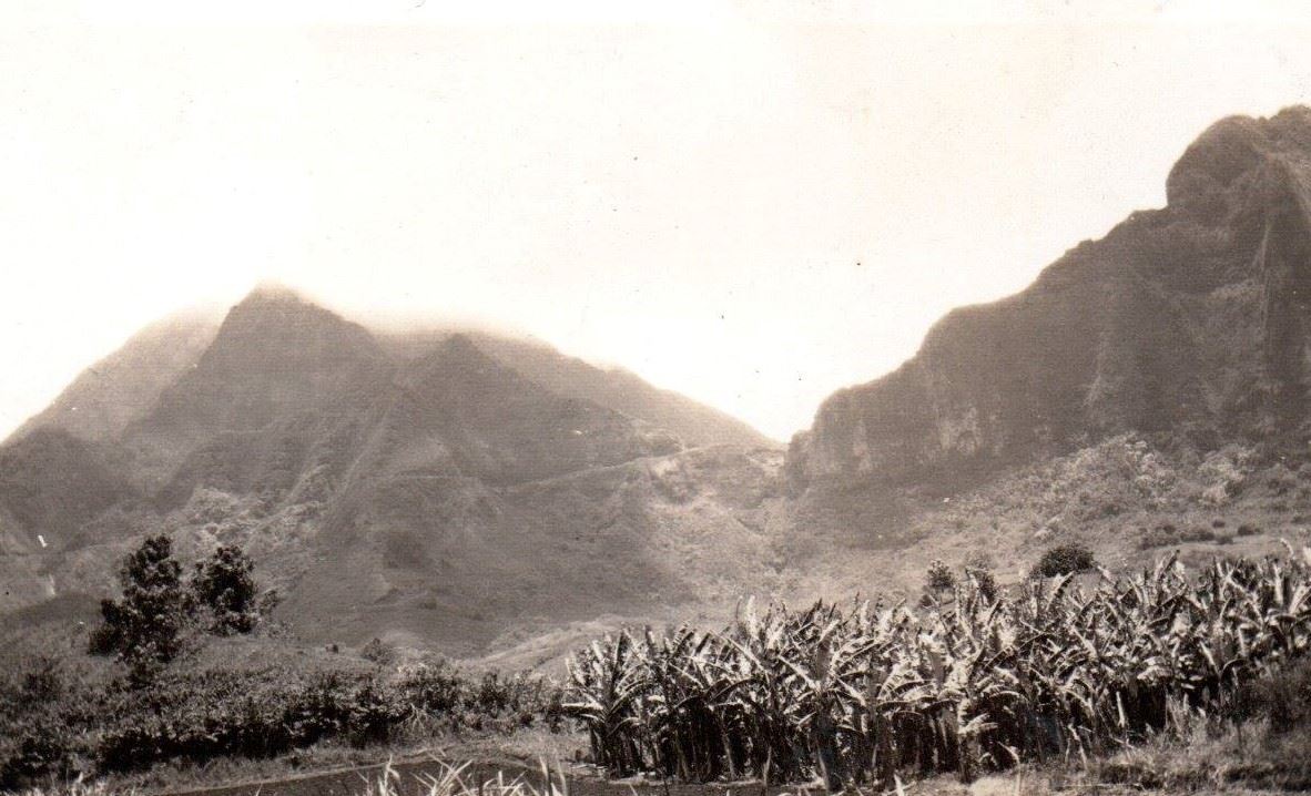 Where to access Old Pali Road besides the lookout?