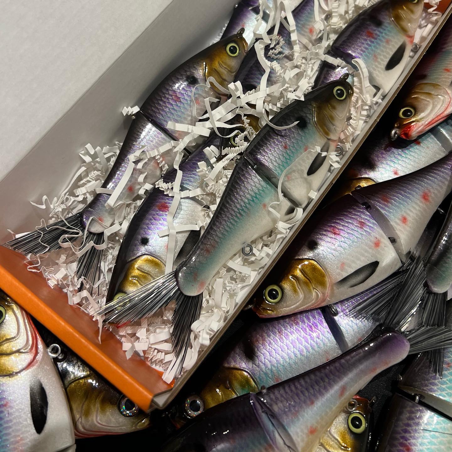 Fish Everything