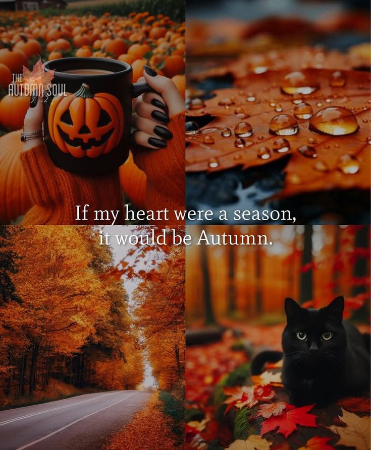 Autumn Photography Vibes🍂📸 | "Cozying up to the magic of autumn" | Facebook