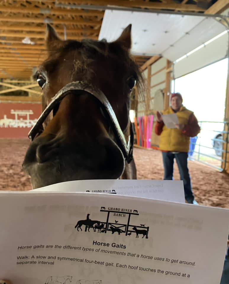 A fun Tuesday with lots of learning... - Grand River Ranch