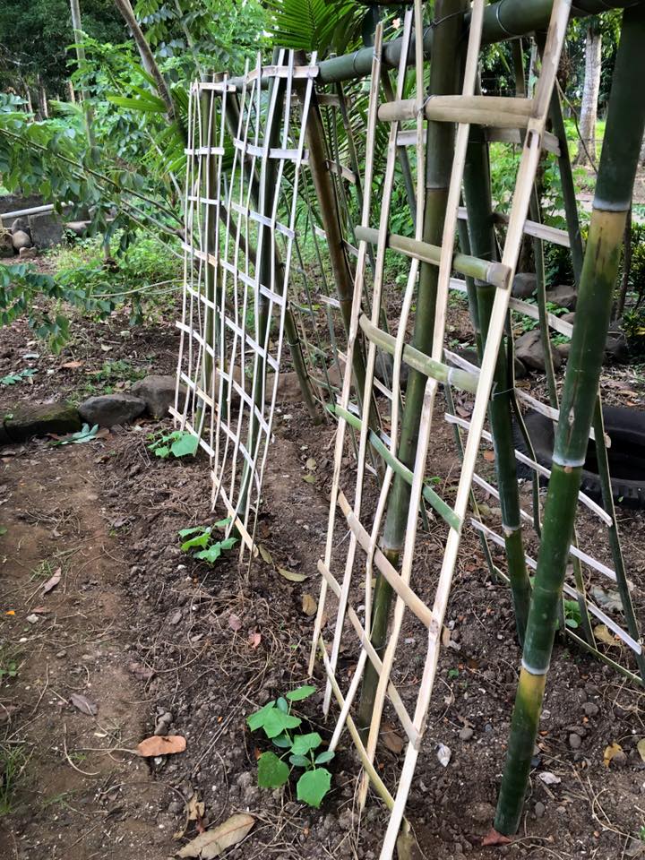 Sweet Nature Farms - 