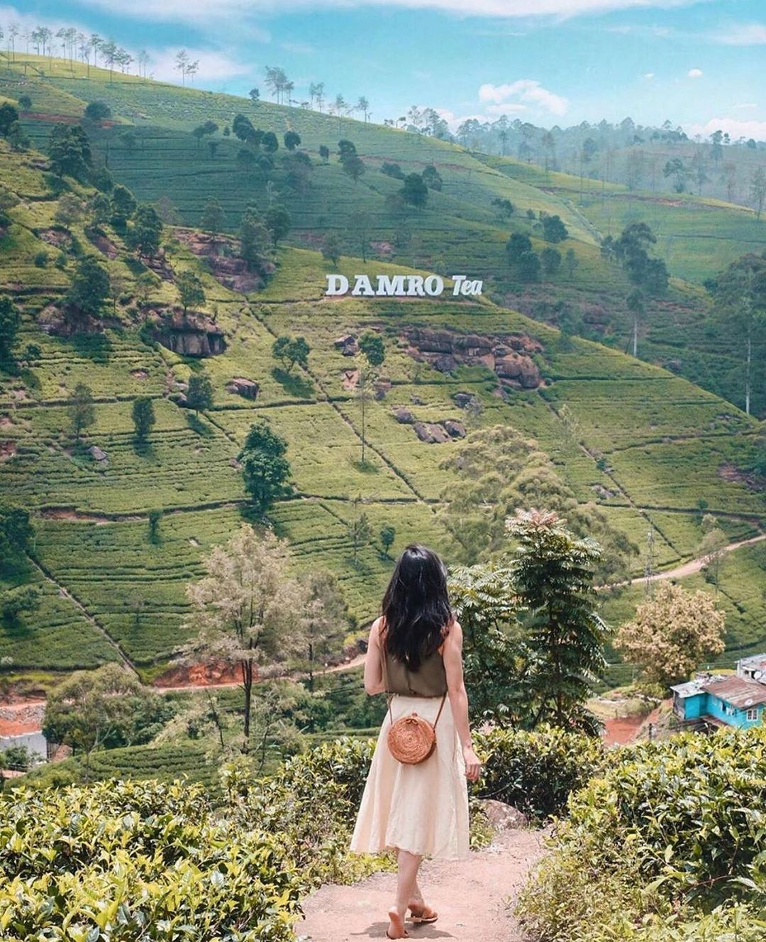 Udani - 𝐃𝐚𝐦𝐫𝐨 𝐋𝐚𝐛𝐨𝐨𝐤𝐞𝐥𝐥𝐢𝐞 𝐓𝐞𝐚 𝐏𝐥𝐚𝐧𝐭𝐚𝐭𝐢𝐨𝐧𝐬 🇱🇰 🌎 💚👣🍃 The Nuwara Eliya tea ...