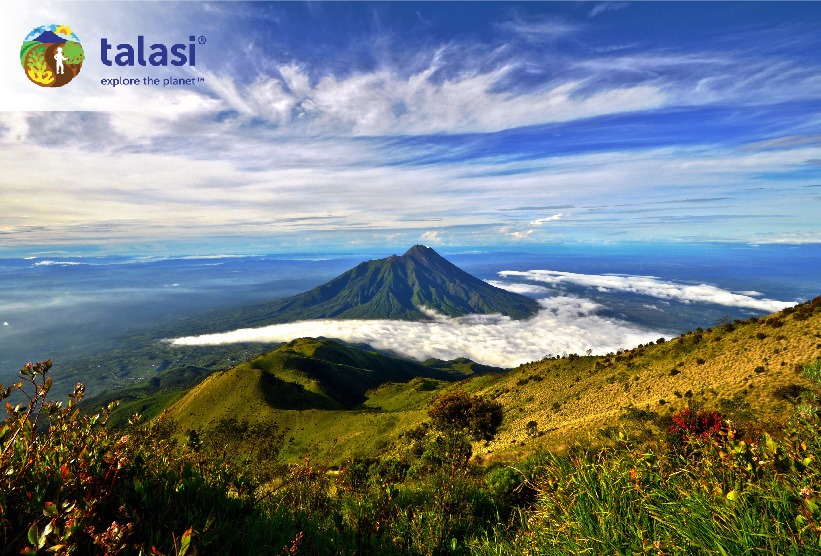 Our country is lucky enough to have... - Talasi Indonesia