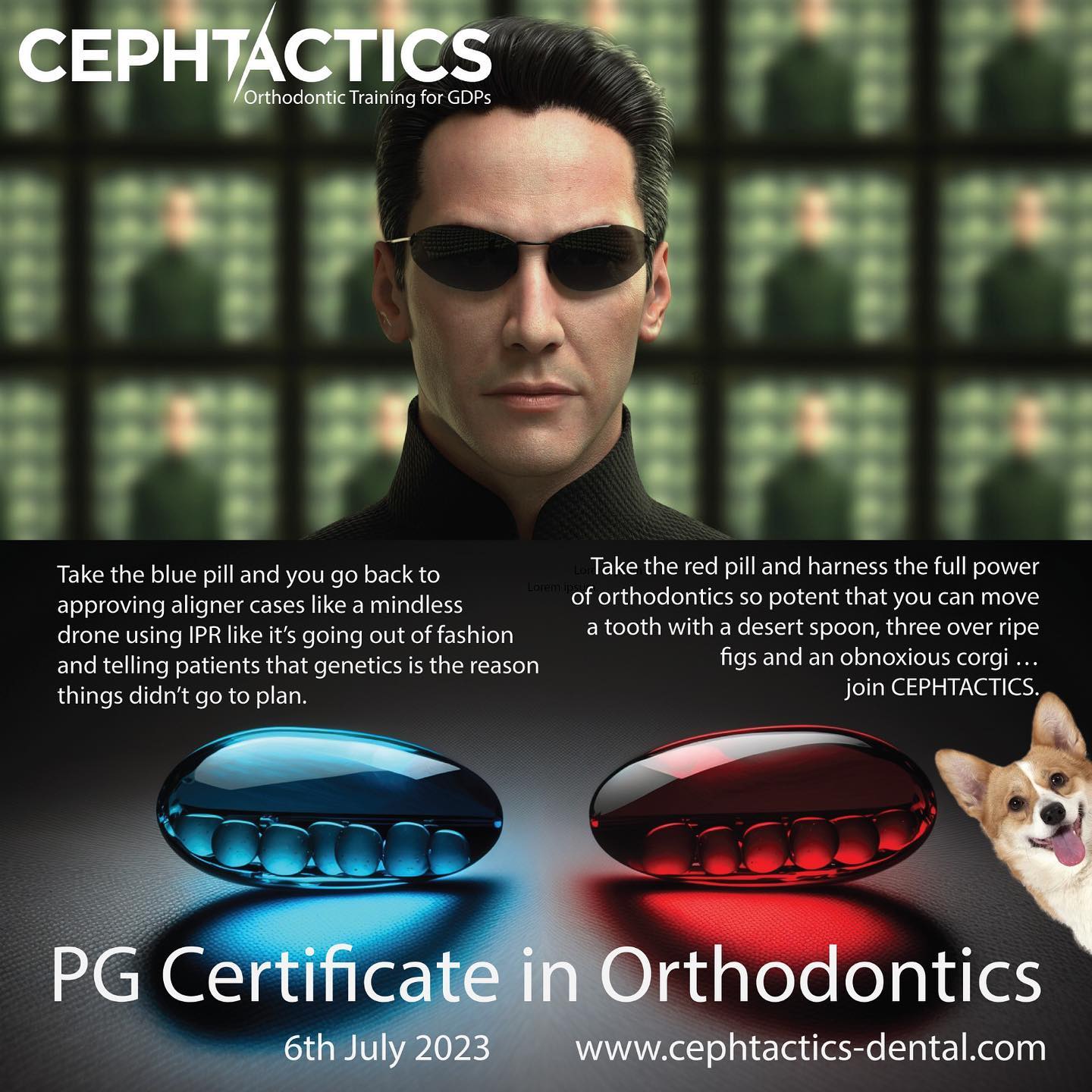 Cephtactics-Dental - 🔴 Red Pill vs. 💊 Blue Pill: Choose Real ...