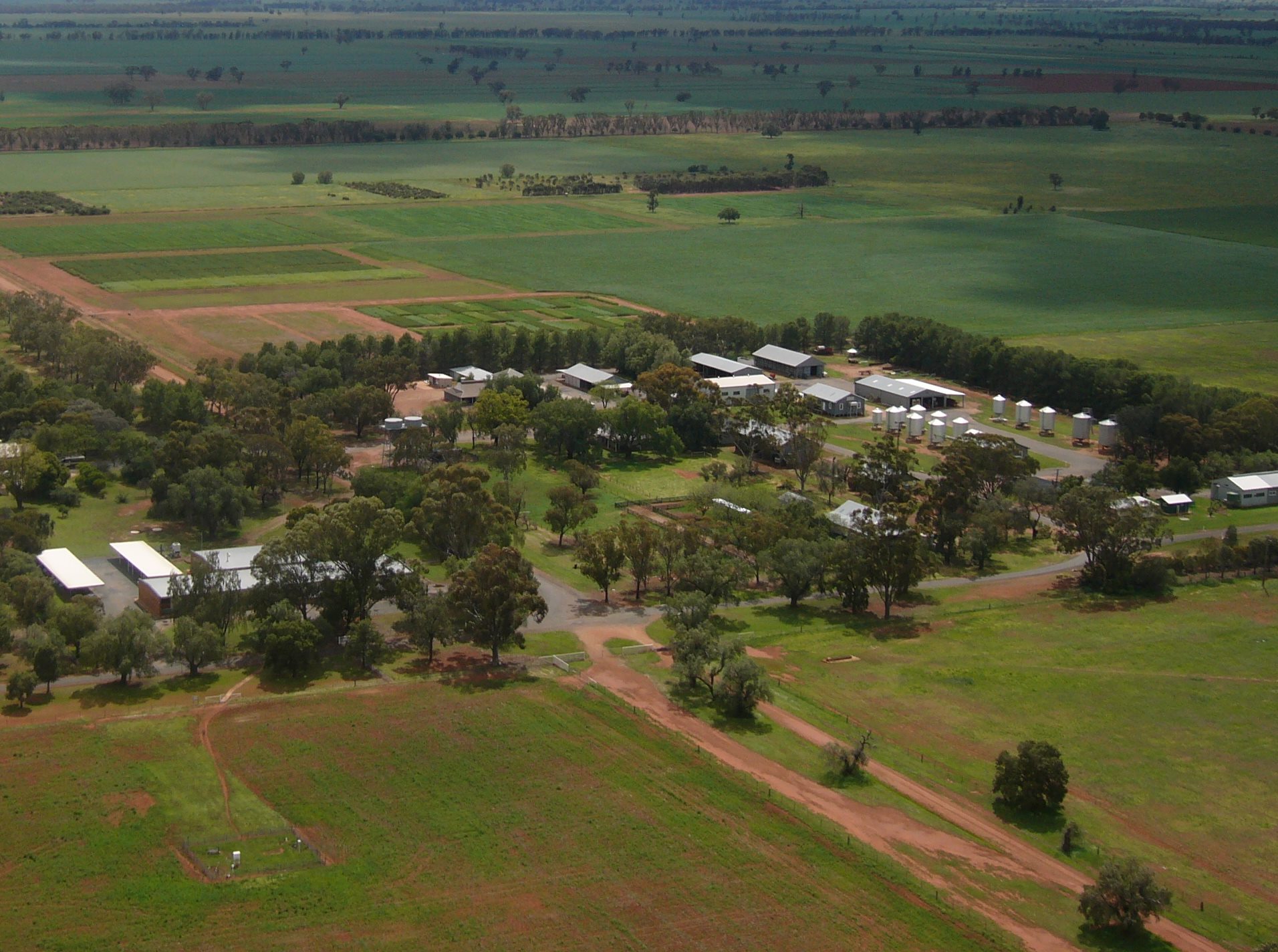 Condobolin Agricultural Research & Advisory Station | Condobolin NSW