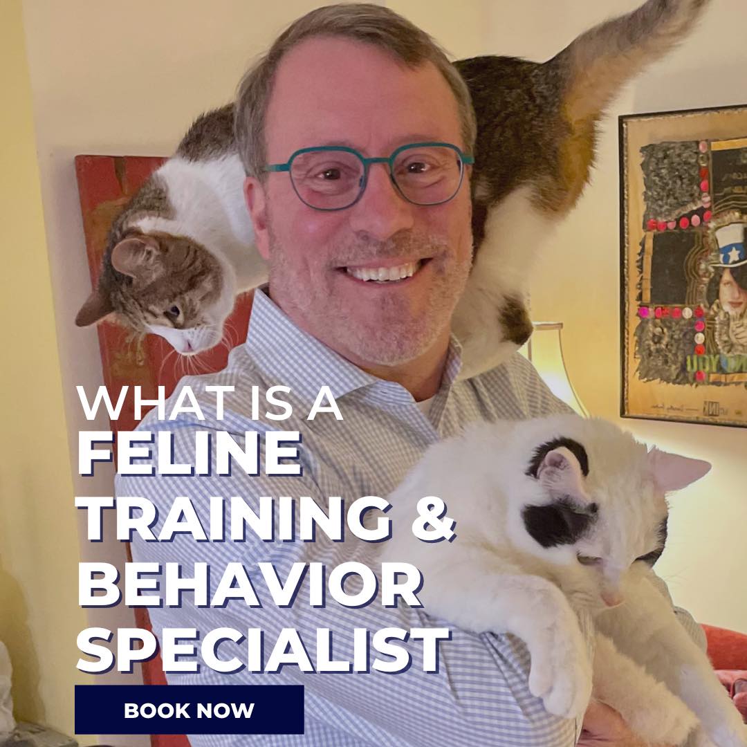 🐱💼 Decoding Feline Behavior: The... - Cat Behavior Help