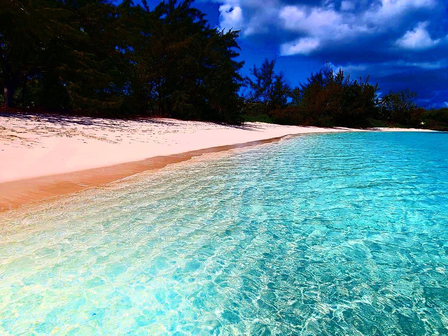 Indigo House Exuma - Life’s a Beach #beach #summer #travel #sea #nature ...