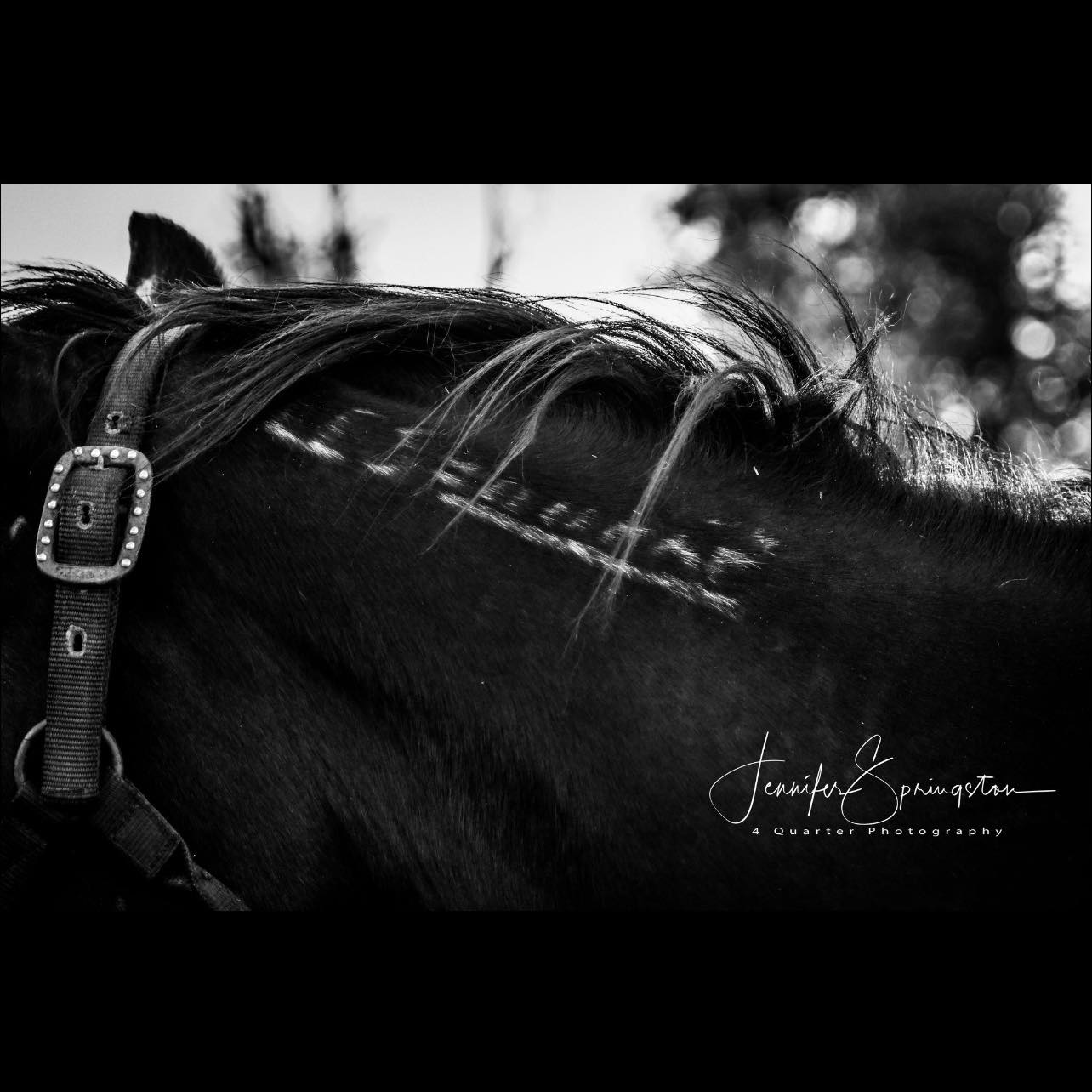 So not perfect and bandit struggled with accepting the black dark ...