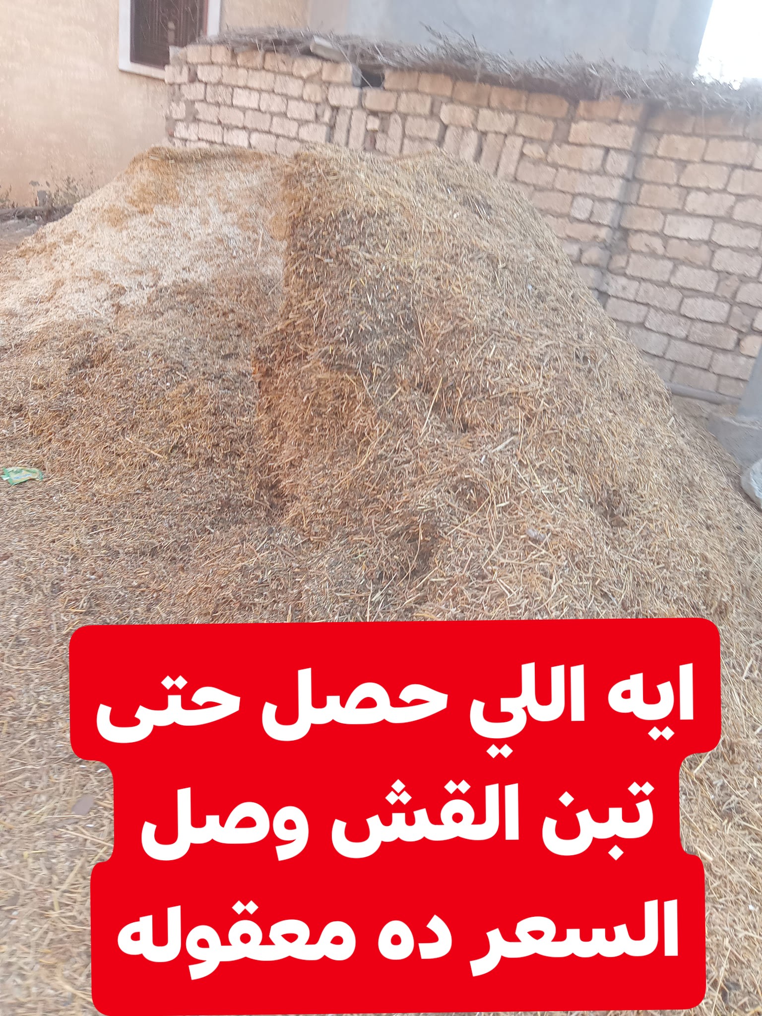 الريف - ايه اللي حصل حتى تبن القش وصل السعر ده معقوله #جميع_الفلاحين ...