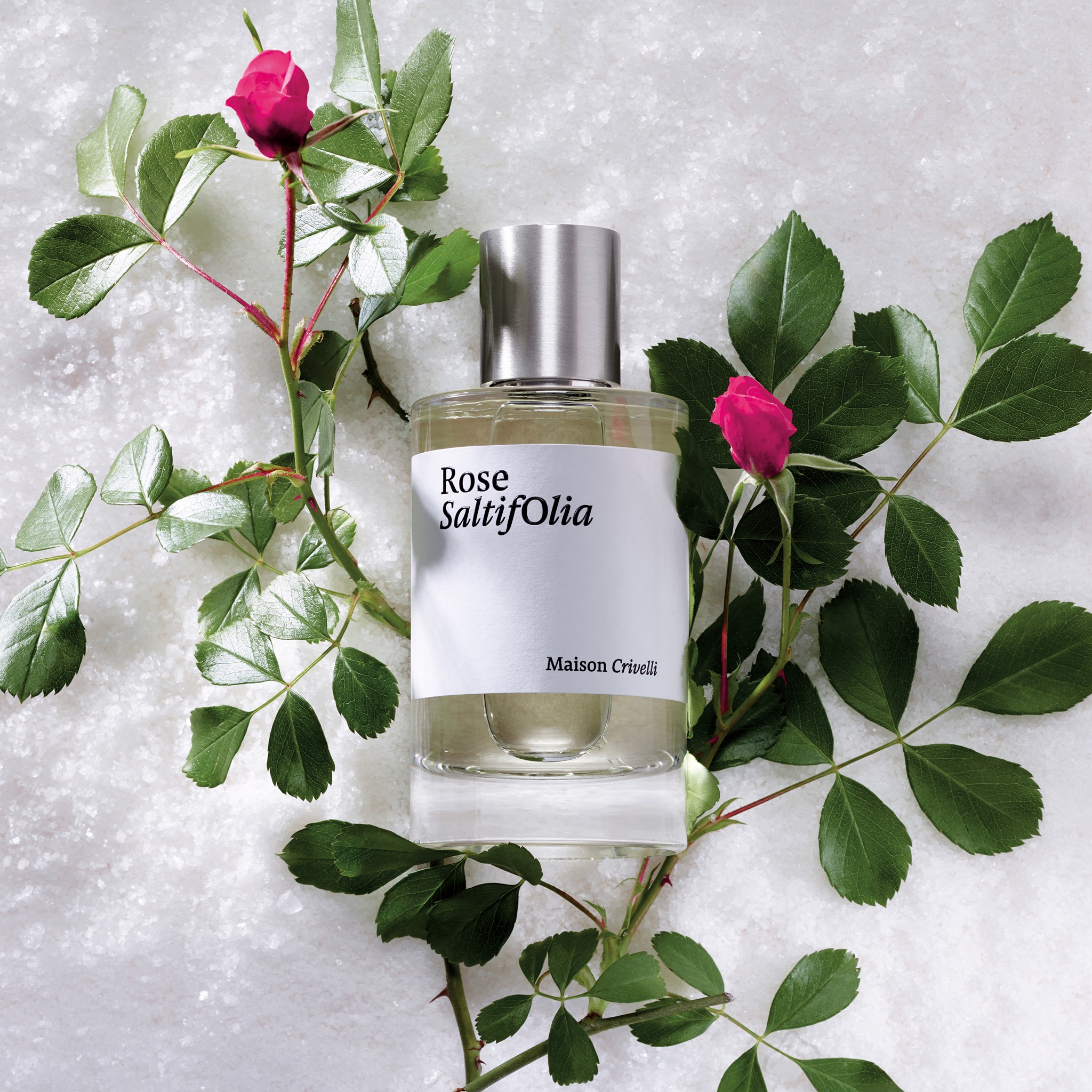 Maison - Inspired by a stroll by the sea, through a field of roses 