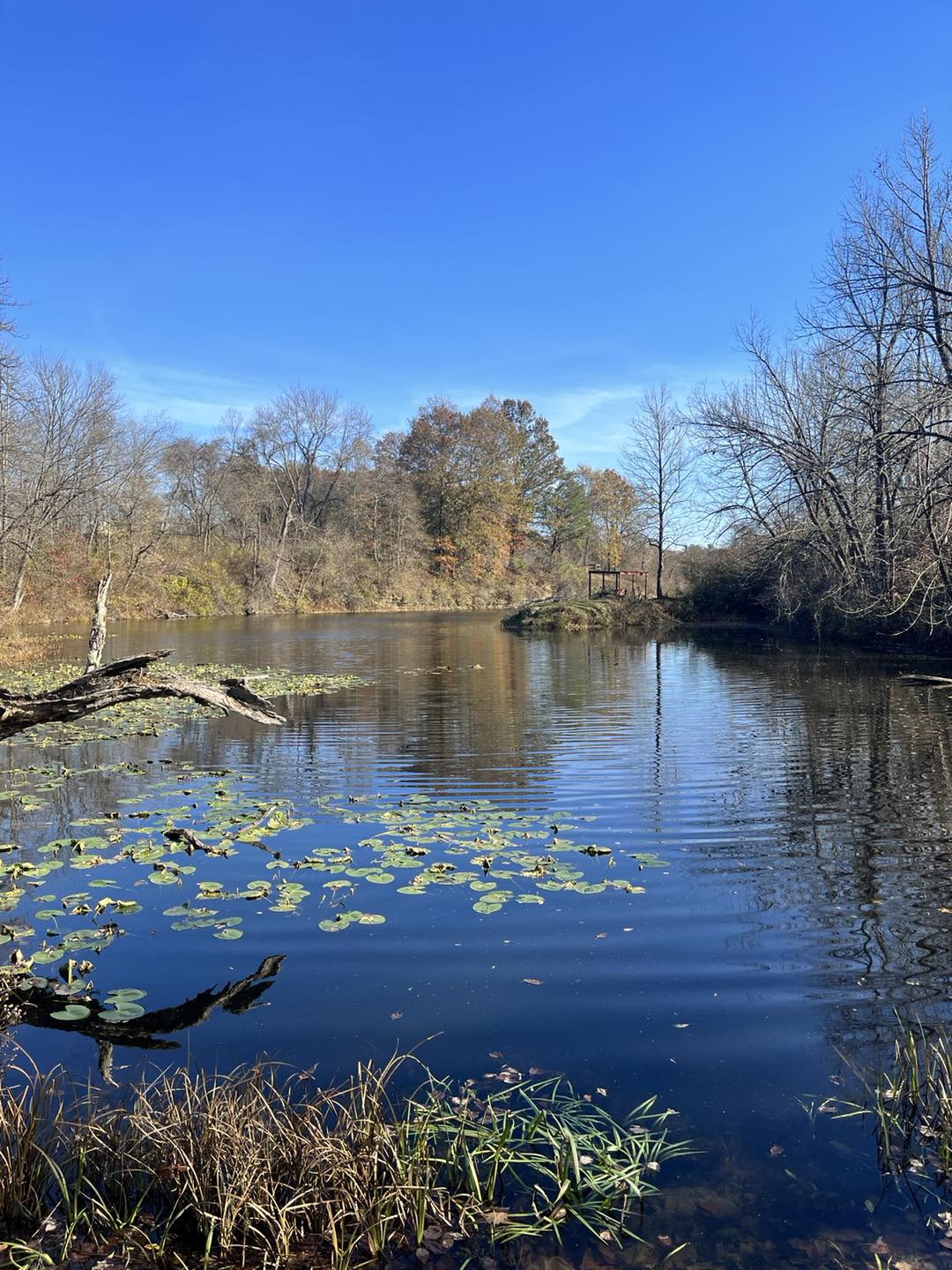 Coal Ridge Park and Trails