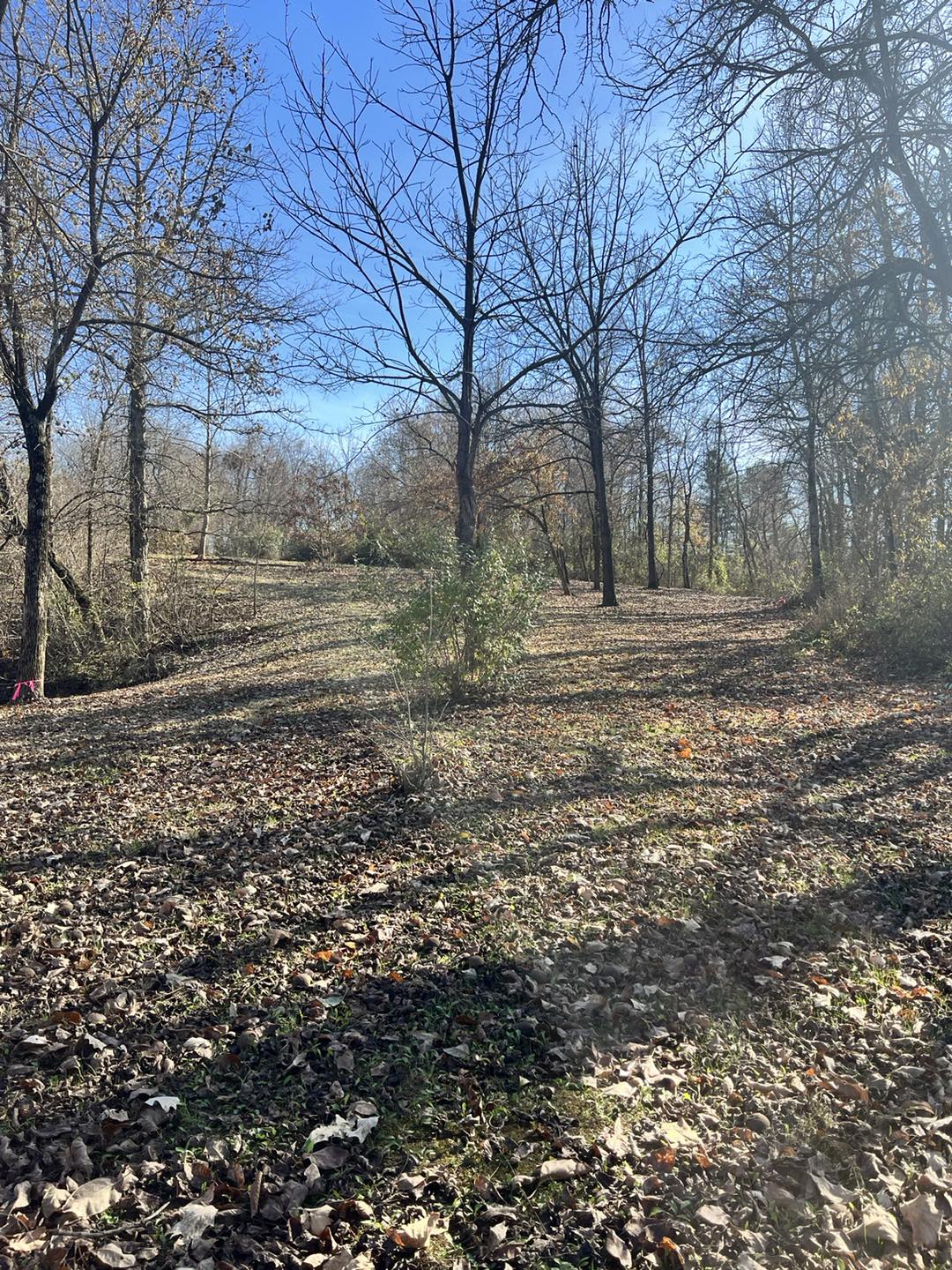 Coal Ridge Park and Trails