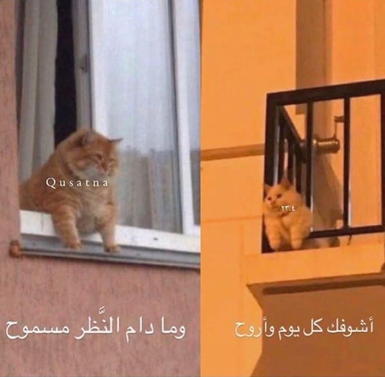 تلاكينــا ومادام النظر مسموح أشوفك كل يوم واروح موني Facebook