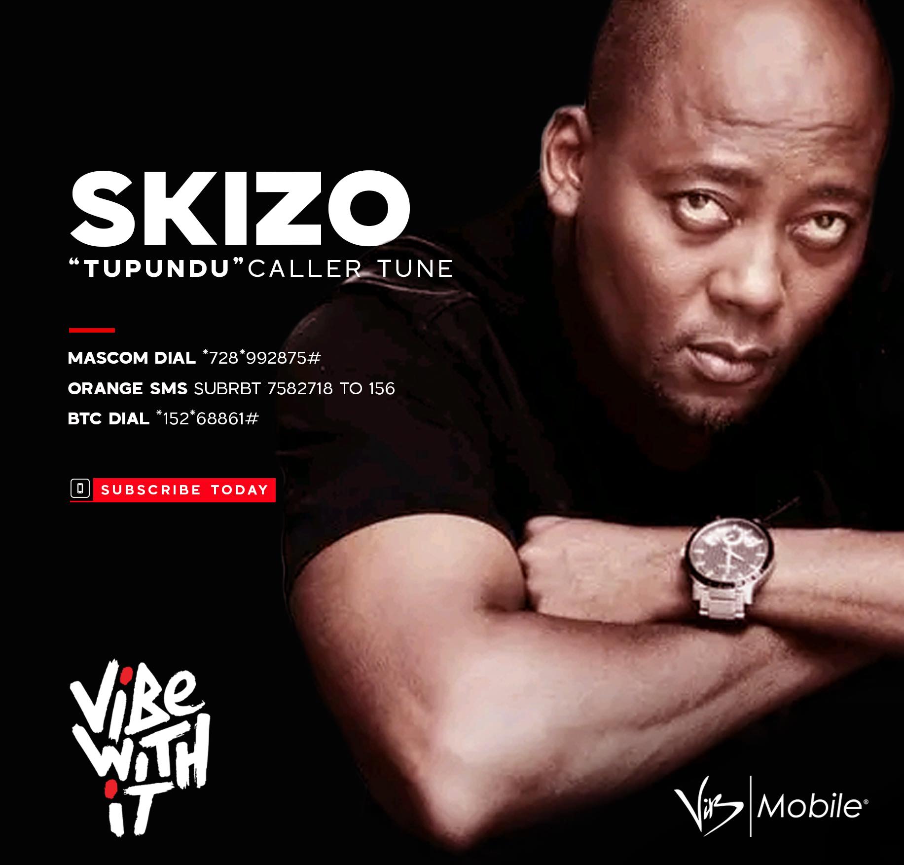 Subscribe to your favourite artists’... - ViB Mobile Botswana
