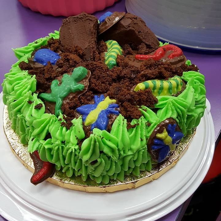 Little Bug Bakery | Cedar Park TX