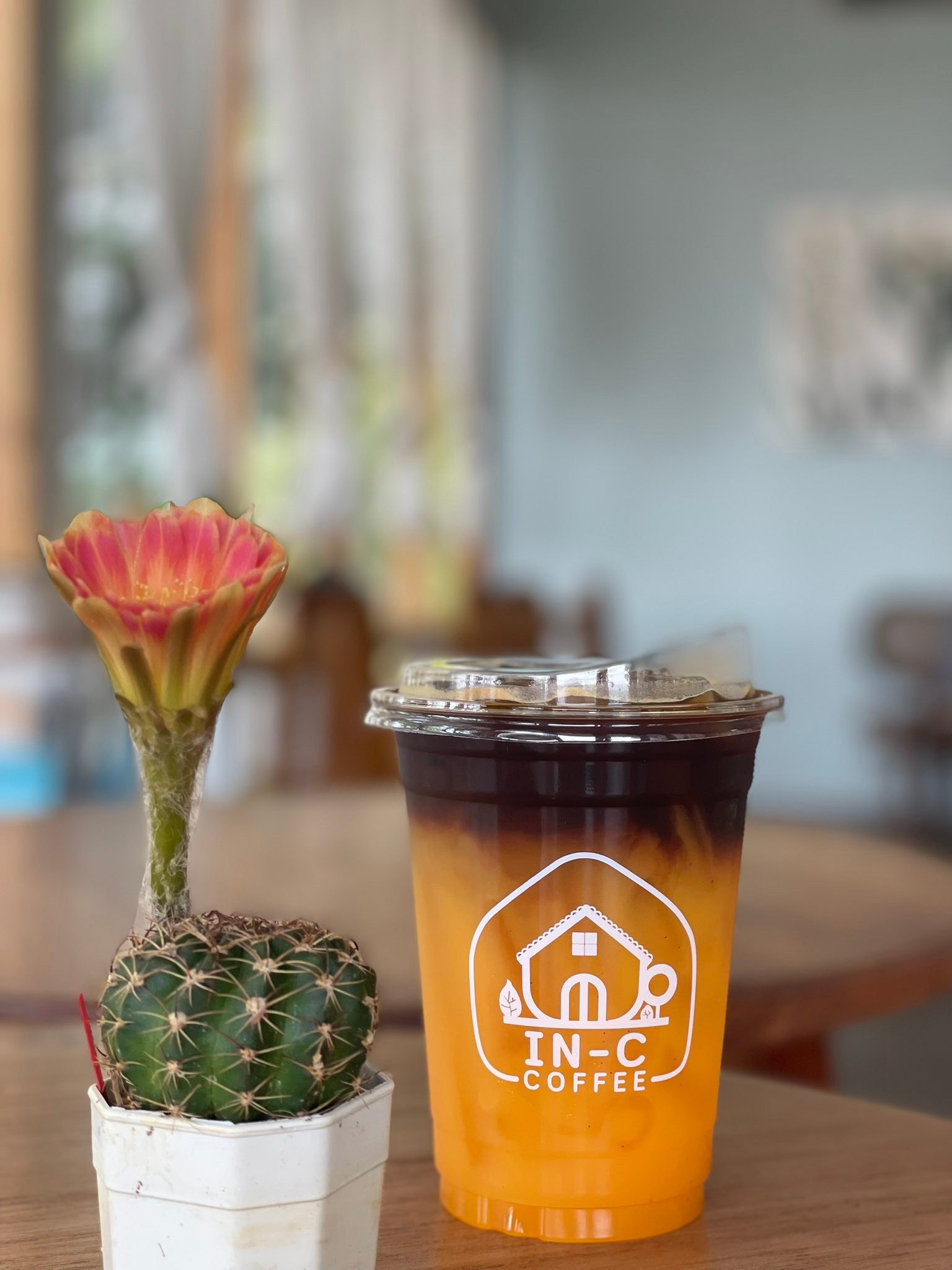 IN-C Coffee ศูนย์สินค้าและผลิตภัณฑ์เกษตรอินทรีย์ แม่โจ้-แพร่ฯ | Amphoe ...