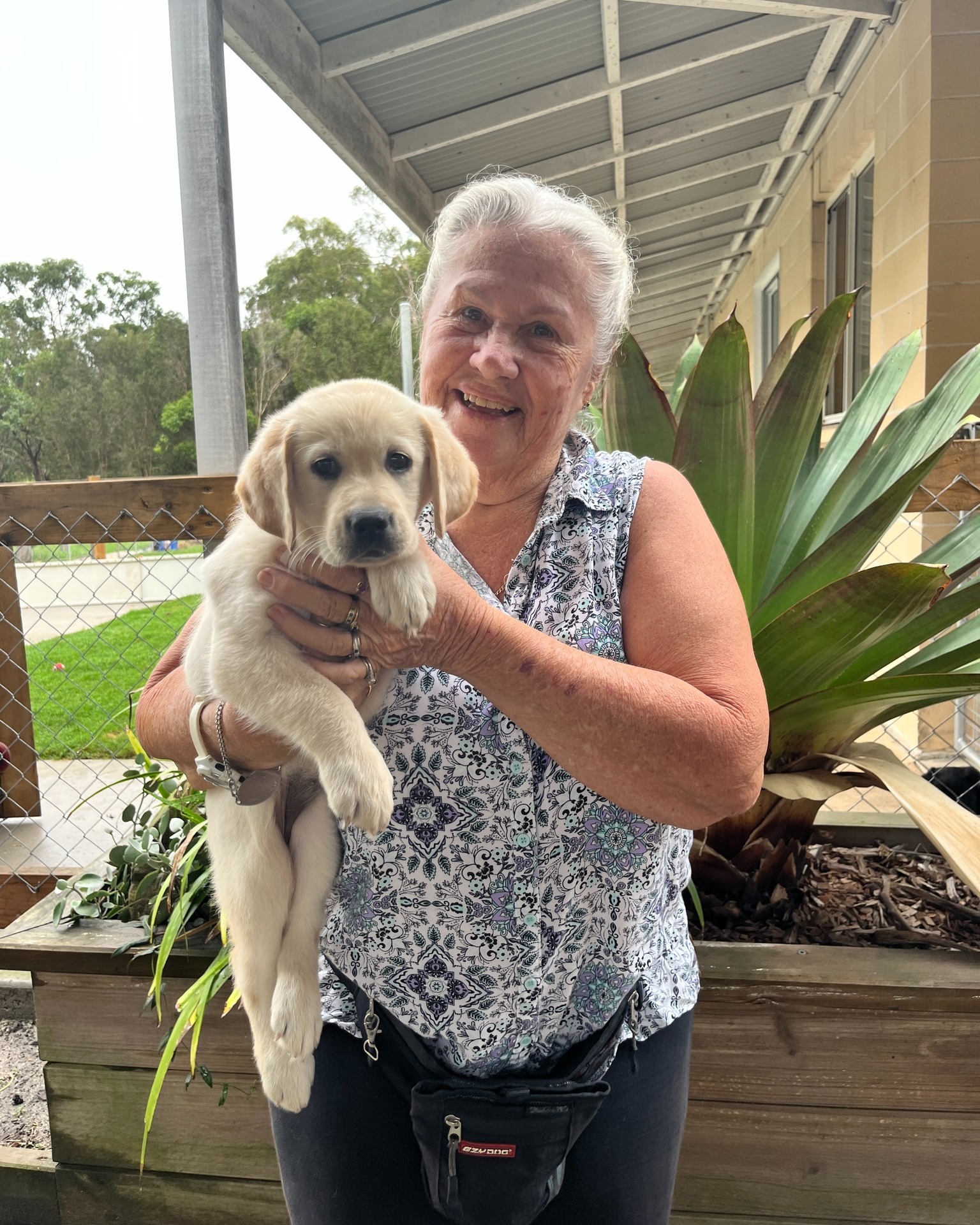 We recently shared the story... - Smart Pups Assistance Dogs | Facebook