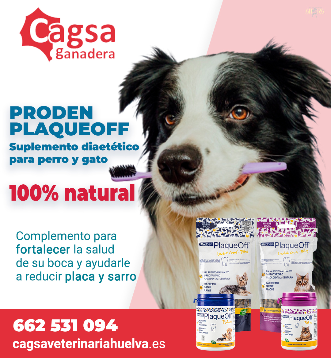 ¿Sabías que los perros necesitan... - Cagsa Ganadera S.L