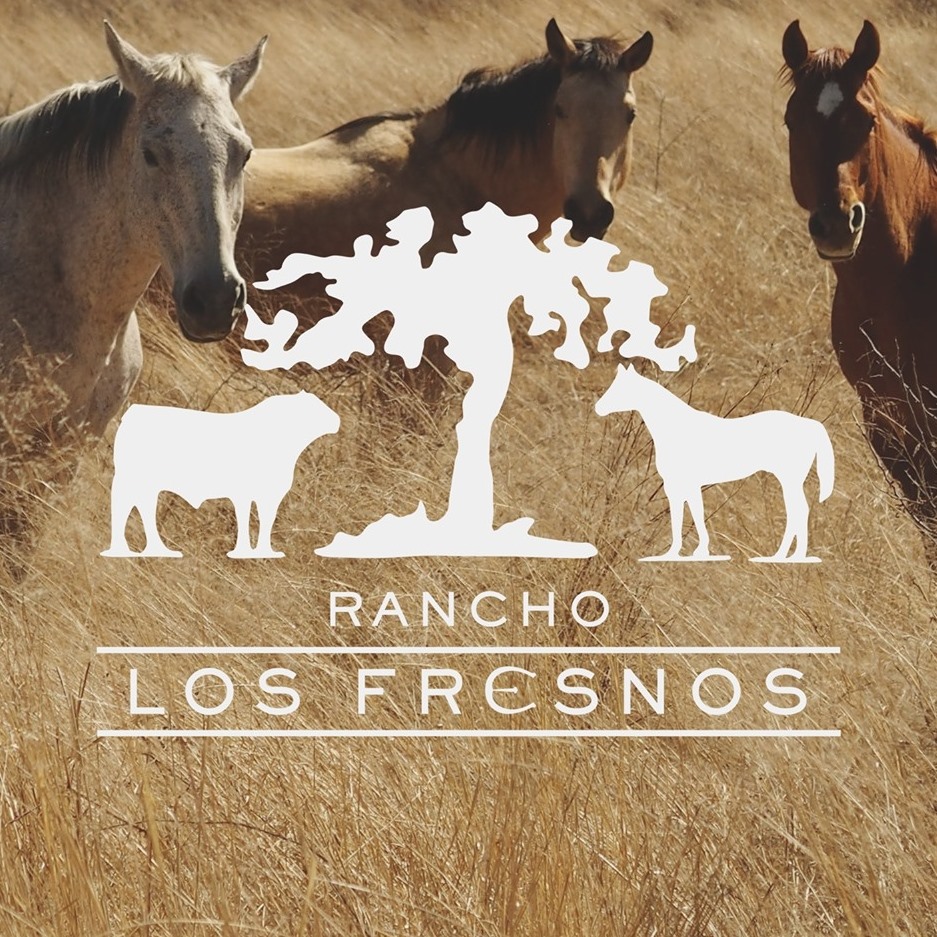 Rancho Los Fresnos - Pelícano Blanco Americano (Pelecanus ...