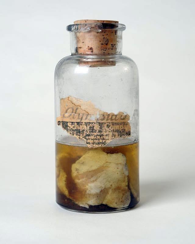 History’s - A bottle of meat preserved from the Kentucky Meat Shower ...