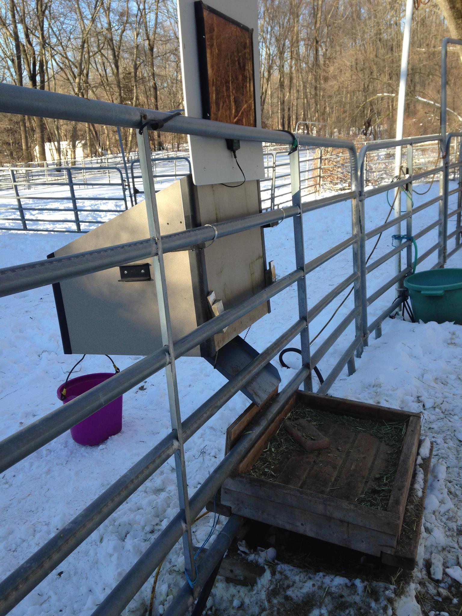 Equine Automation - Automatic Horse Feeder