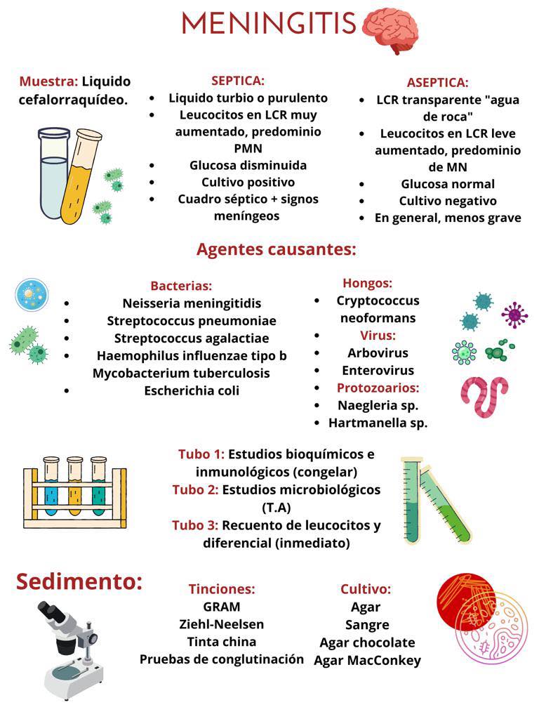 LabClinico DG - 𝗠𝗘𝗡𝗜𝗡𝗚𝗜𝗧𝗜𝗦 🧠... | Facebook