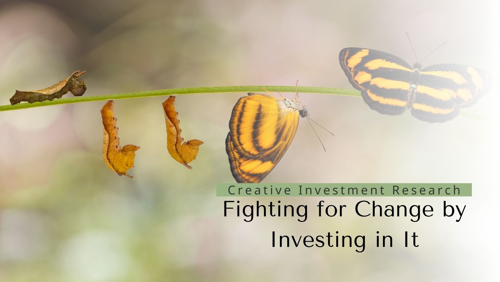 Creative Investment Research