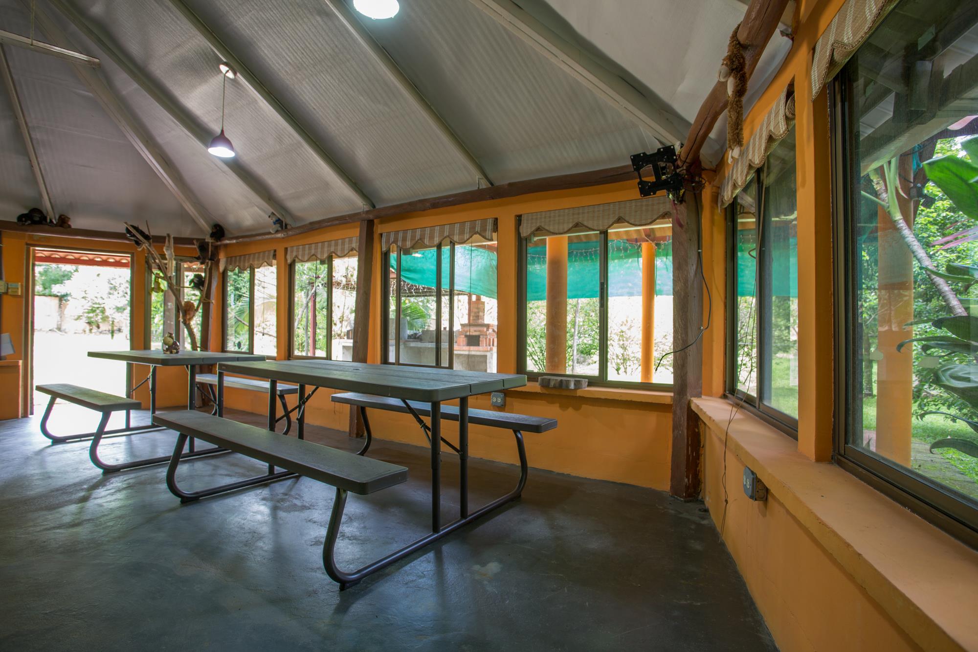 The Monkey Shack | Torio