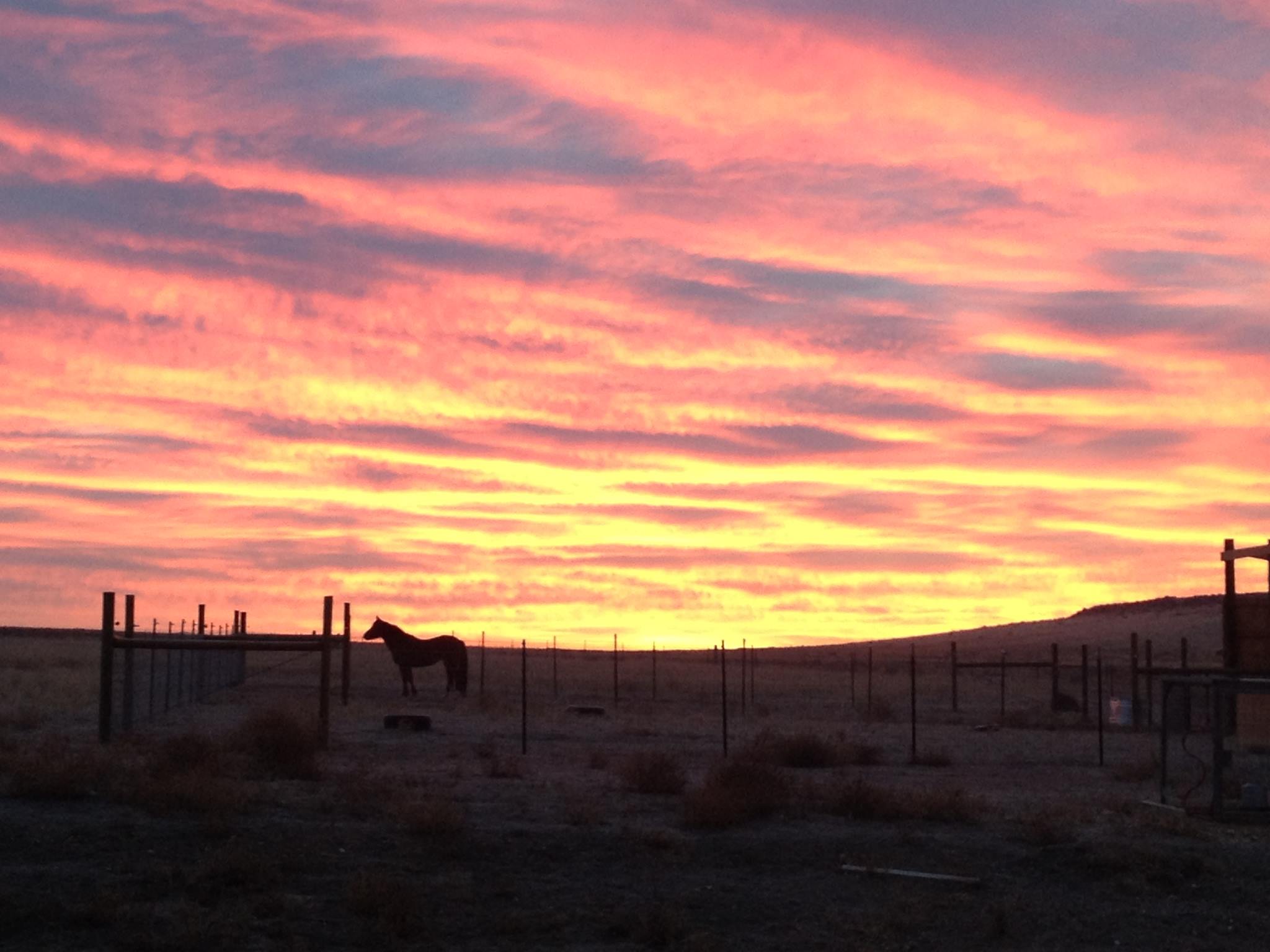 Sunset Ranch Creations