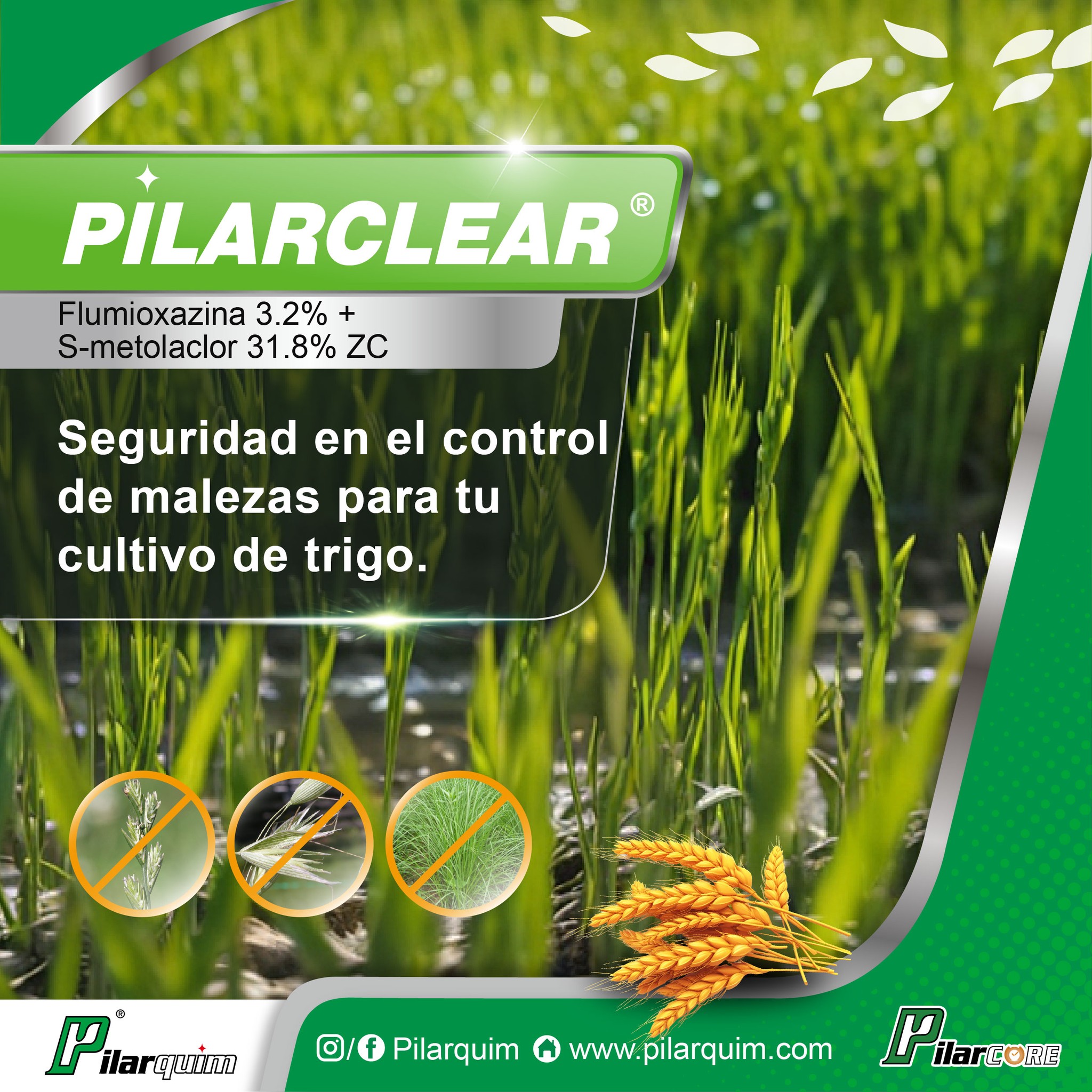 Pilarquim Latam SA