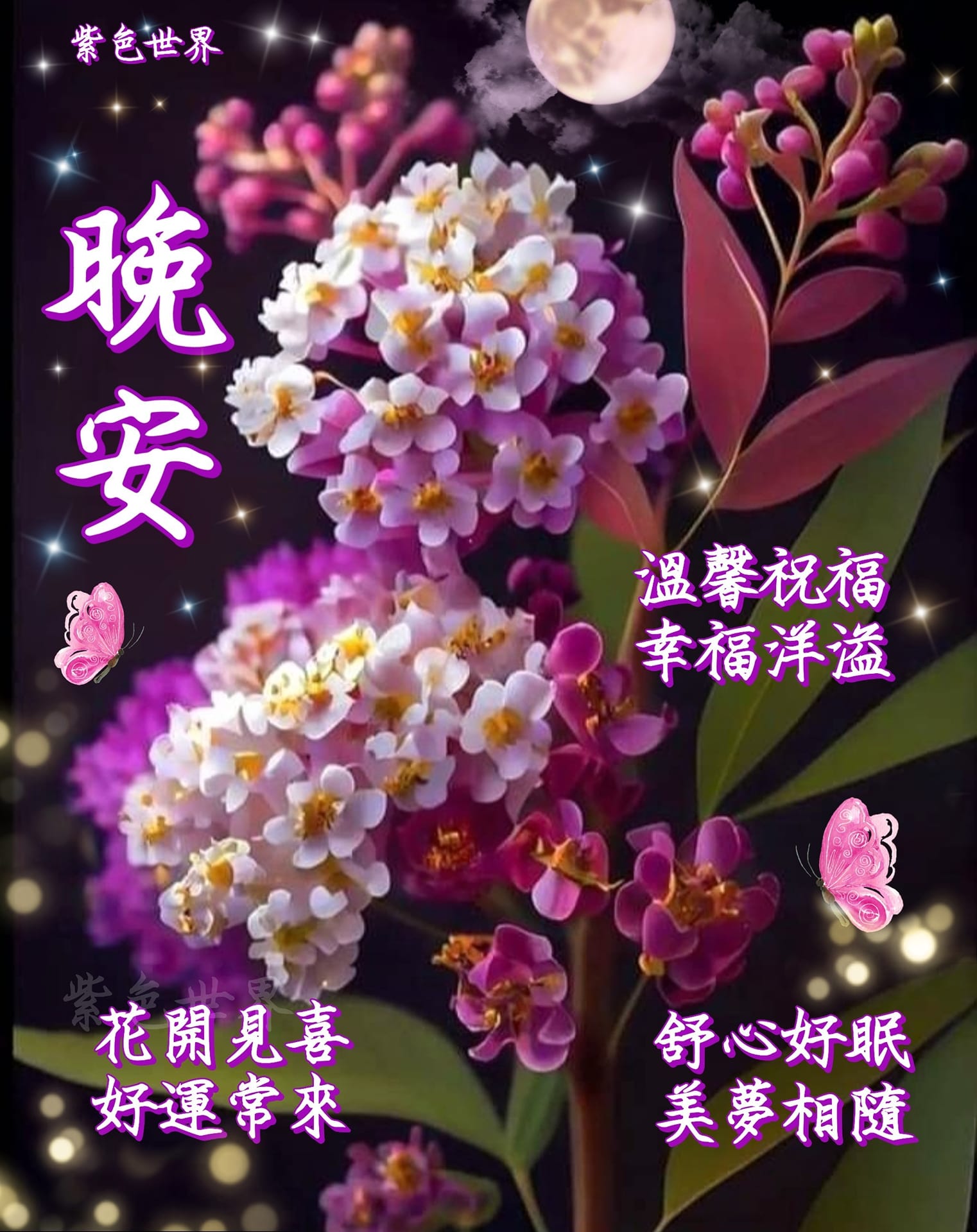 💜带上愉快的心情，结束了美好的一天，每天说一声“晚安”，祝你舒心好眠，美梦相隨... - 紫色世界 Purple World