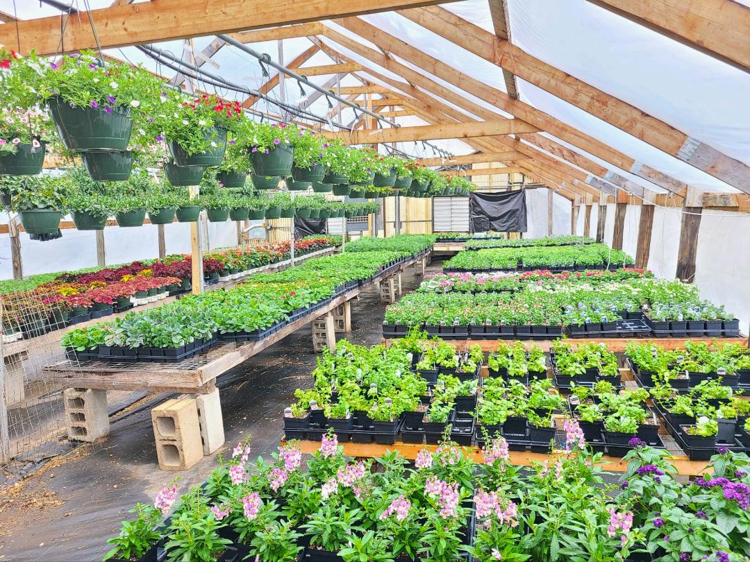 Riff Flower Shop and Greenhouses | Lancaster NH