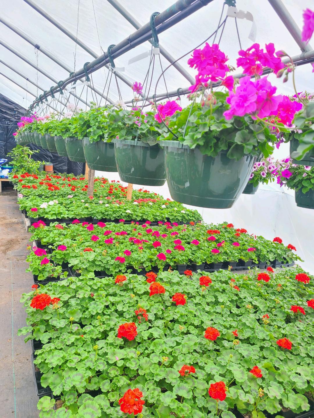 Riff Flower Shop and Greenhouses | Lancaster NH