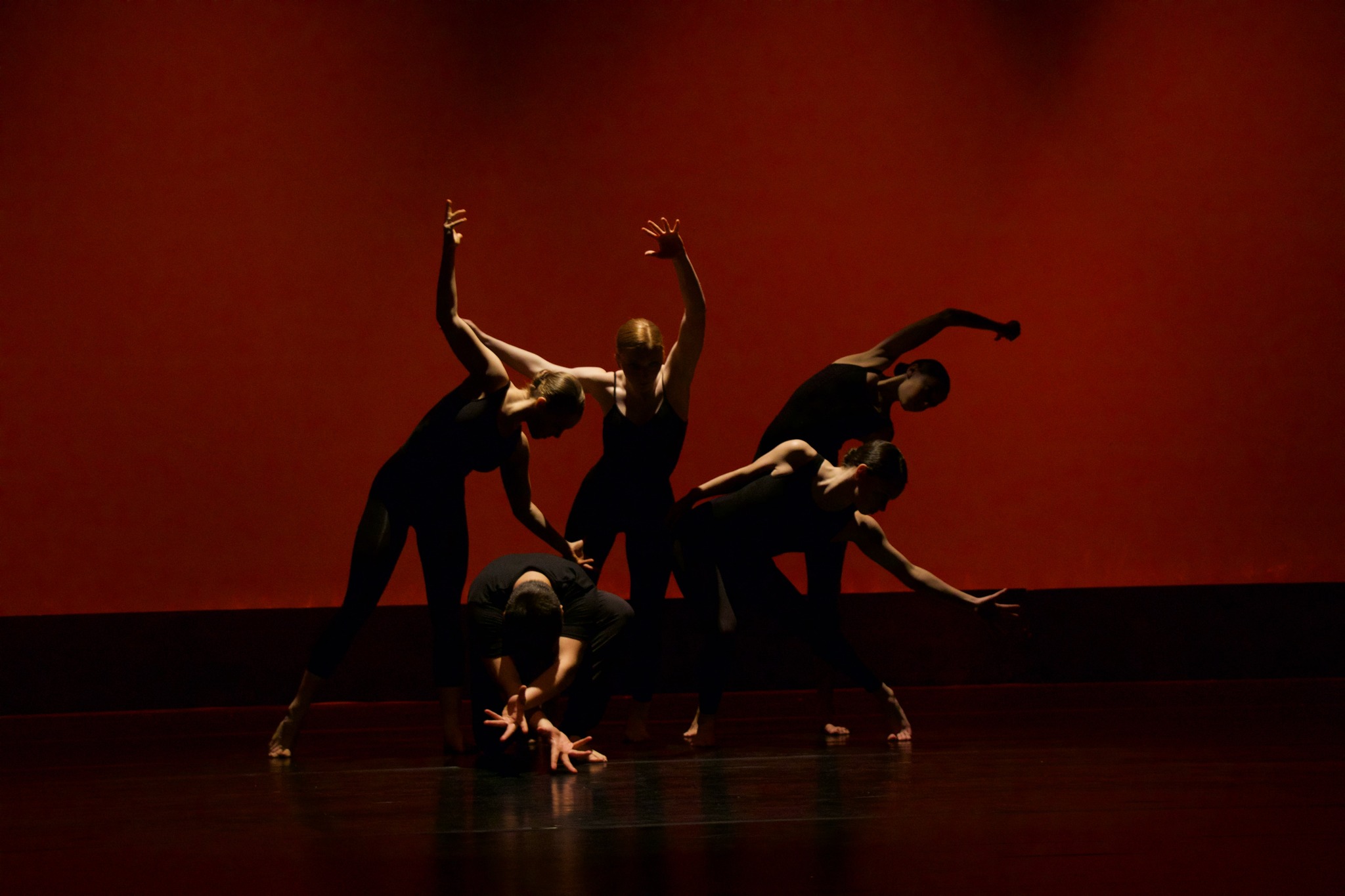 Taux Horaire Prof De Danse Auto Entrepreneur